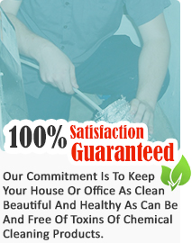 Professional Lint Cleaners Dryer Lint Removal